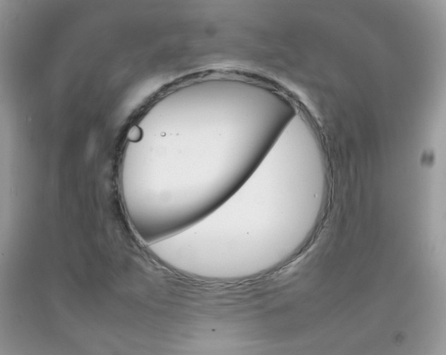 X0000092251263200709140958