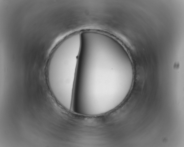 X0000092251264200709140958