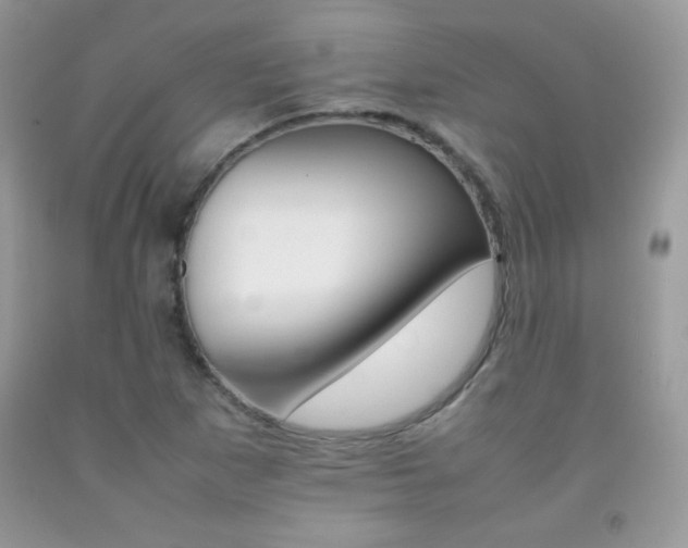 X0000092251265200709140958