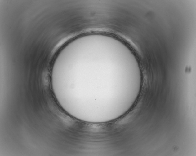 X0000092251266200709140958