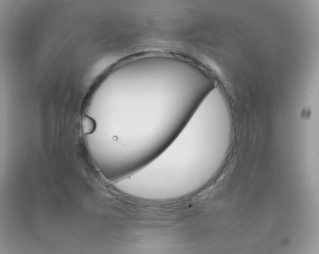X0000092251267200709140958