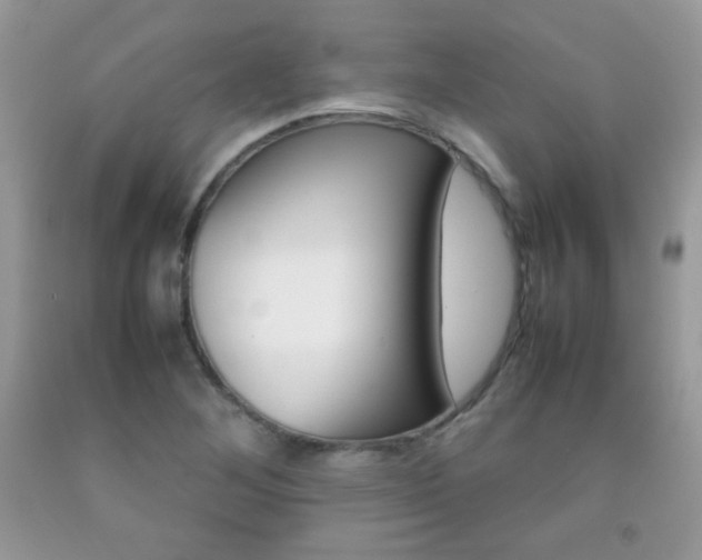 X0000092251268200709140958
