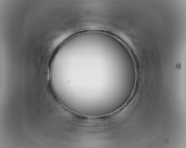 X0000092251269200709140958