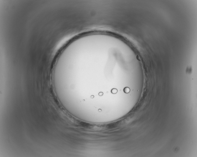 X0000092251271200709140958