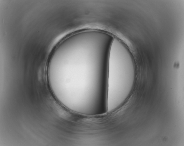 X0000092251272200709140958