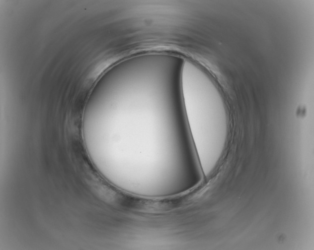 X0000092251273200709140958