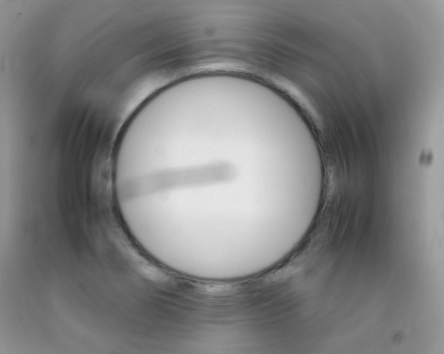X0000092251274200709140958