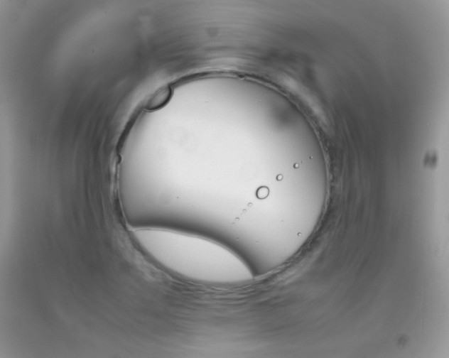 X0000092251275200709140958