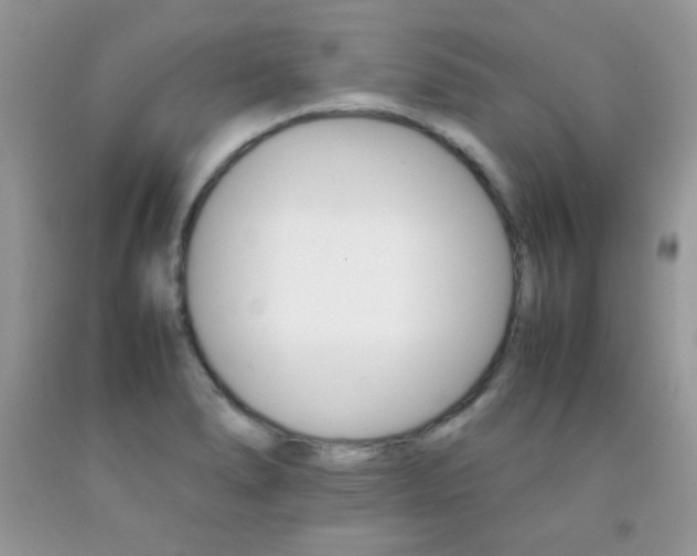 X0000092251278200709140958
