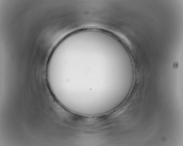 X0000092251279200709140958