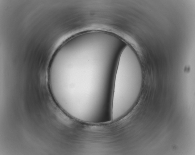 X0000092251280200709140958