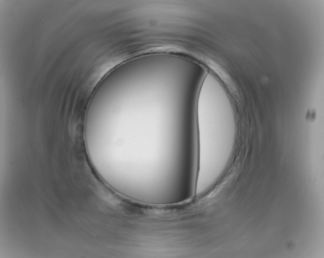 X0000092251281200709140958