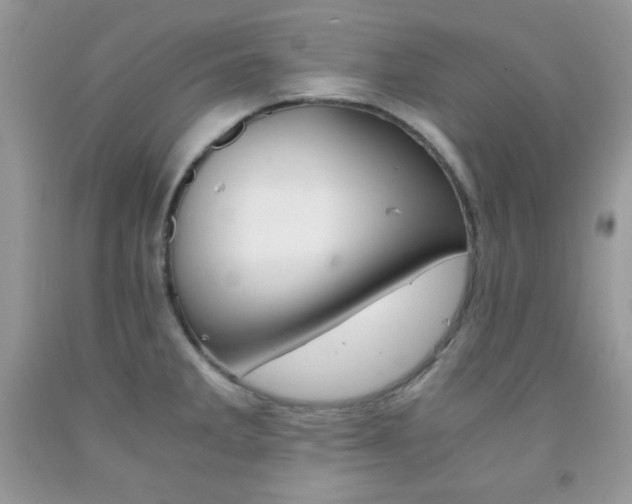 X0000092251285200709140958