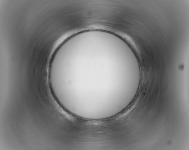 X0000092251286200709140958