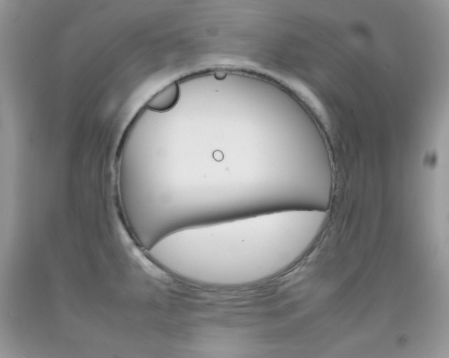 X0000092251287200709140958