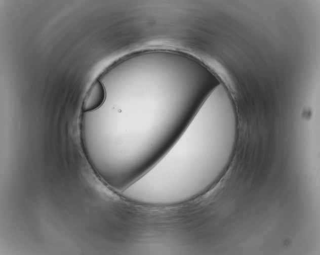 X0000092251288200709140958