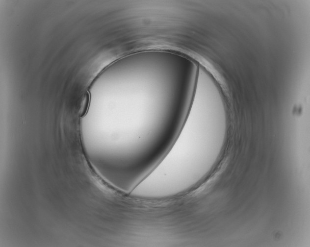 X0000092251289200709140958