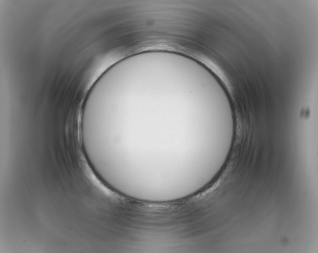 X0000092251290200709140958