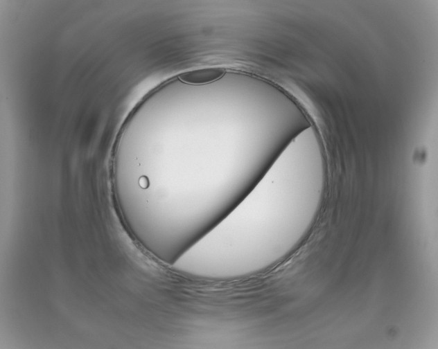X0000092251291200709140958