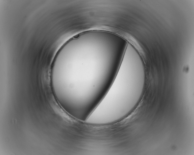 X0000092251292200709140958