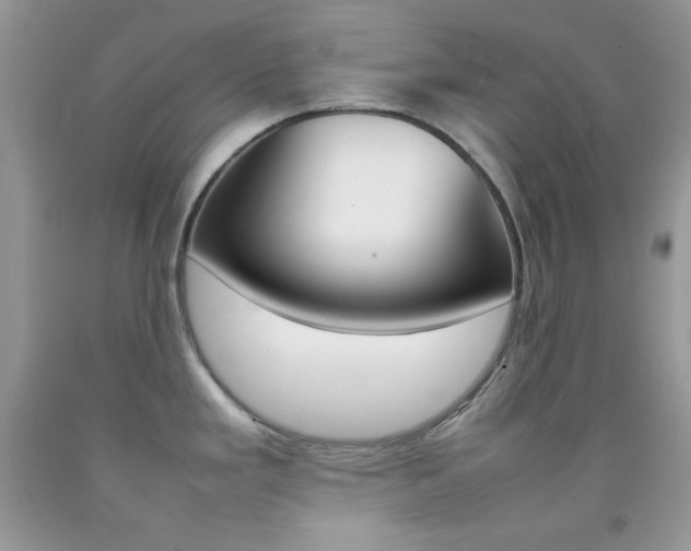 X0000092251293200709140958