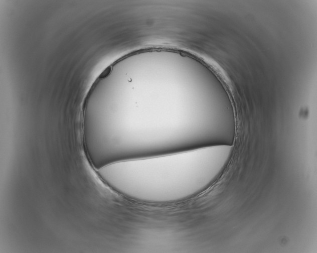X0000092251295200709140958