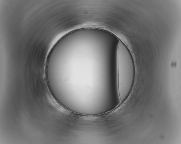 X0000092251296200709140958