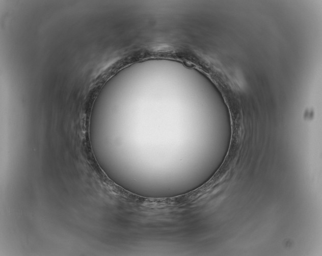 X0000092251301200709140957