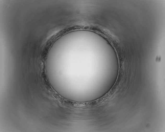 X0000092251302200709140957