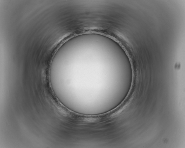 X0000092251305200709140957