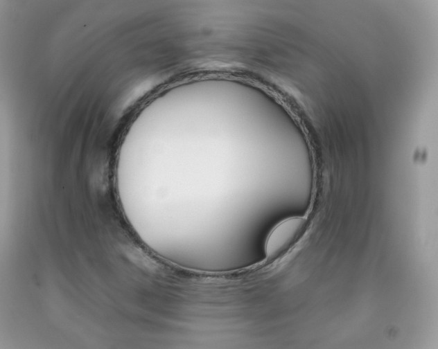 X0000092251306200709140957