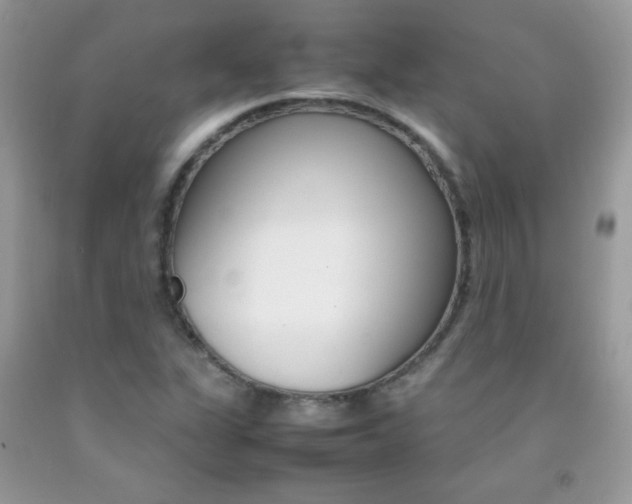 X0000092251311200709140957