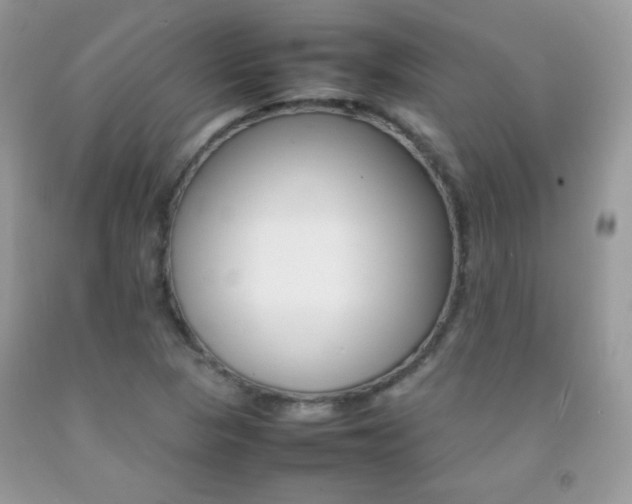 X0000092251313200709140957