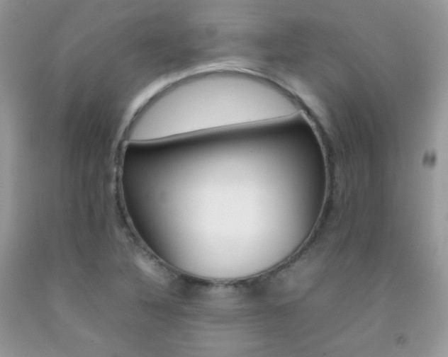 X0000092251316200709140957