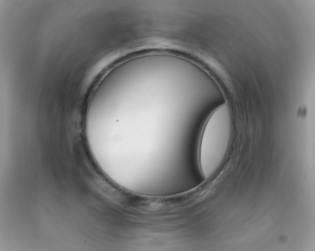X0000092251318200709140957