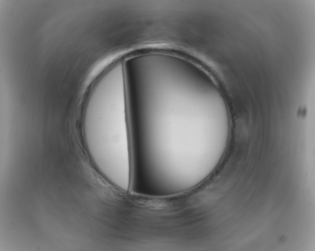 X0000092251319200709140957