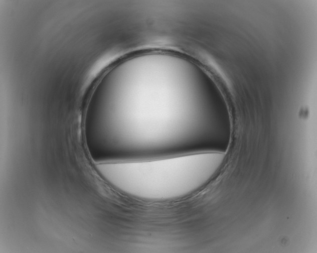 X0000092251320200709140957