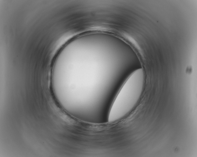 X0000092251323200709140957