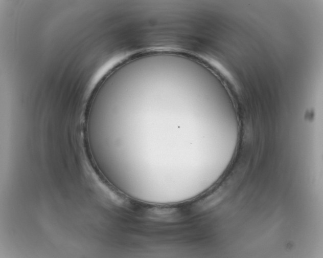 X0000092251325200709140957