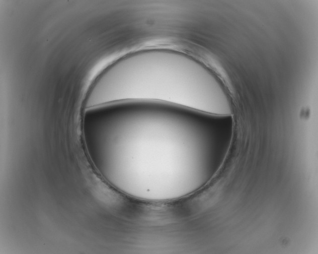 X0000092251328200709140957