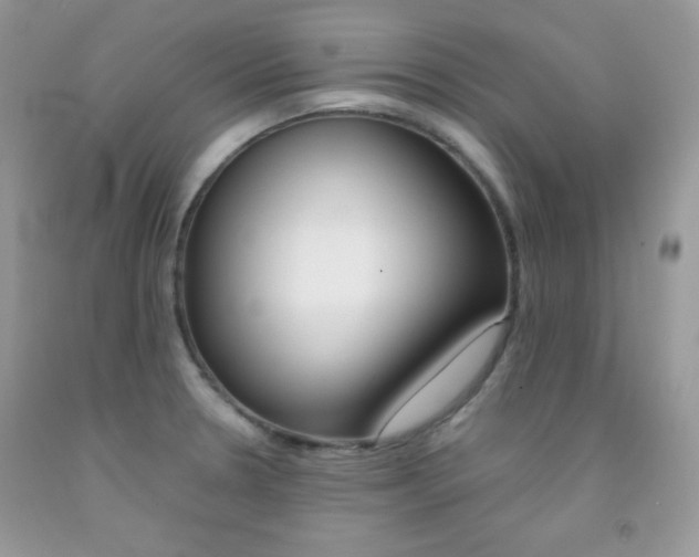 X0000092251330200709140957