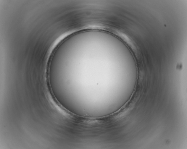 X0000092251331200709140957