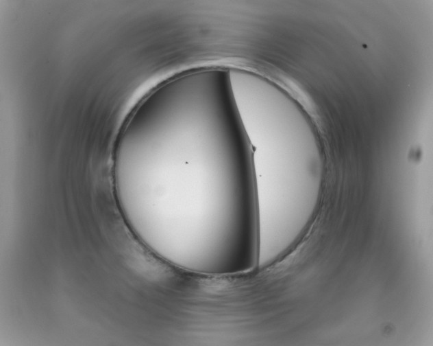 X0000092251332200709140957