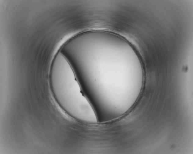 X0000092251333200709140957