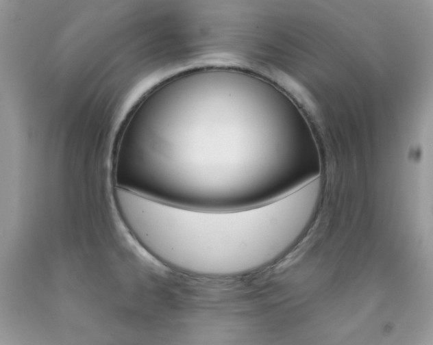 X0000092251334200709140957