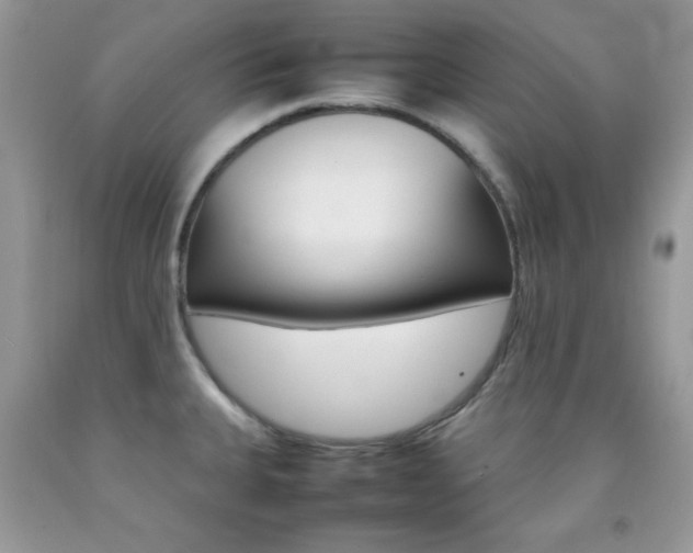 X0000092251335200709140957
