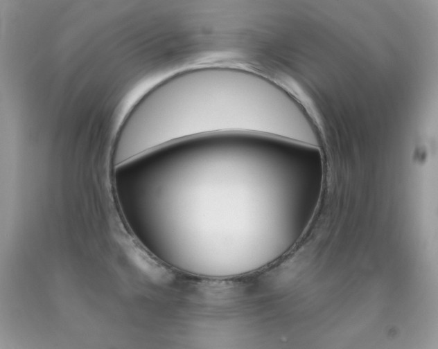 X0000092251336200709140957