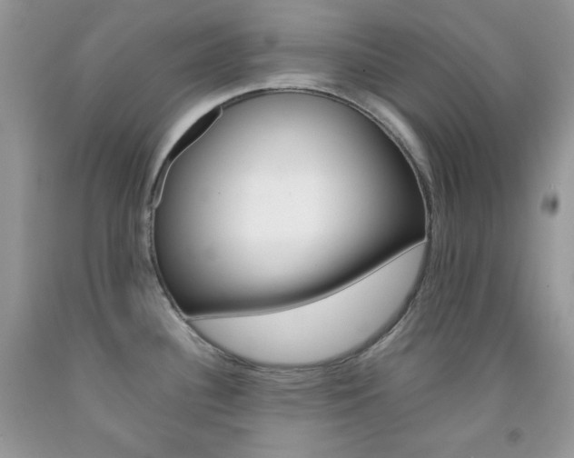 X0000092251340200709140957
