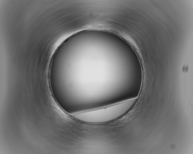 X0000092251344200709140958