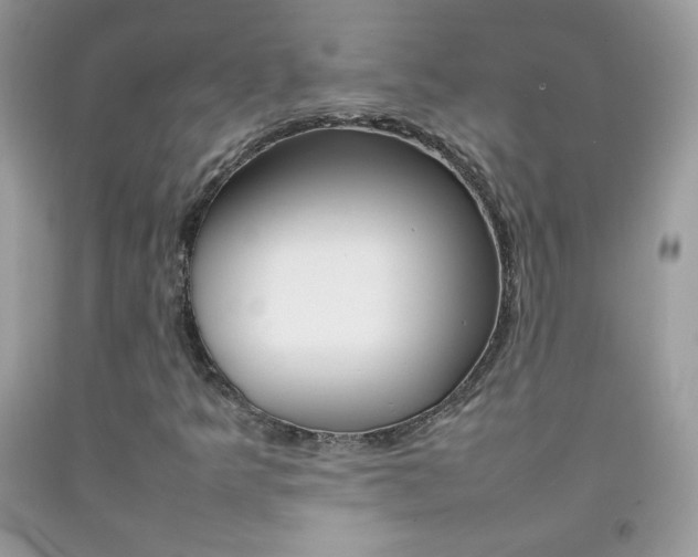 X0000092251349200709140957